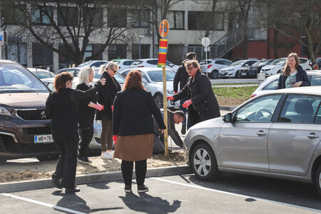 Obcina_hoce_slivnica_sajenje_lip marec2026_foto_pigac_si (38)